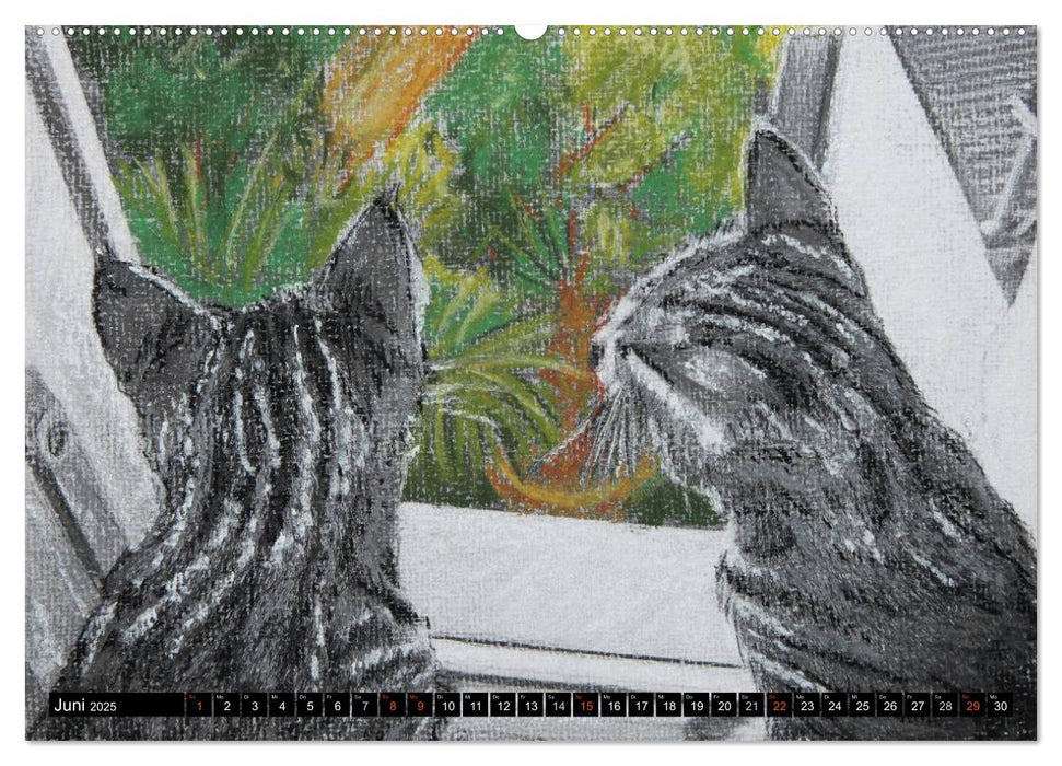 Samtpfoten - Katzen in Pastell (CALVENDO Premium Wandkalender 2025)