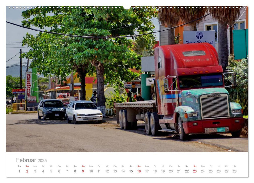 Monster Trucks in Jamaika (CALVENDO Premium Wandkalender 2025)