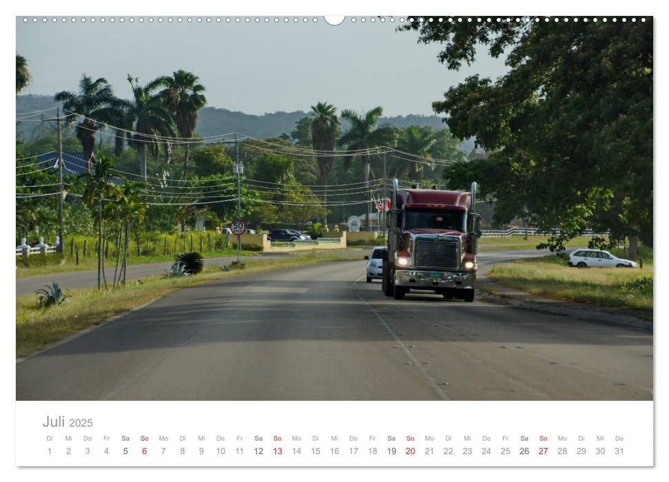 Monster Trucks in Jamaika (CALVENDO Premium Wandkalender 2025)