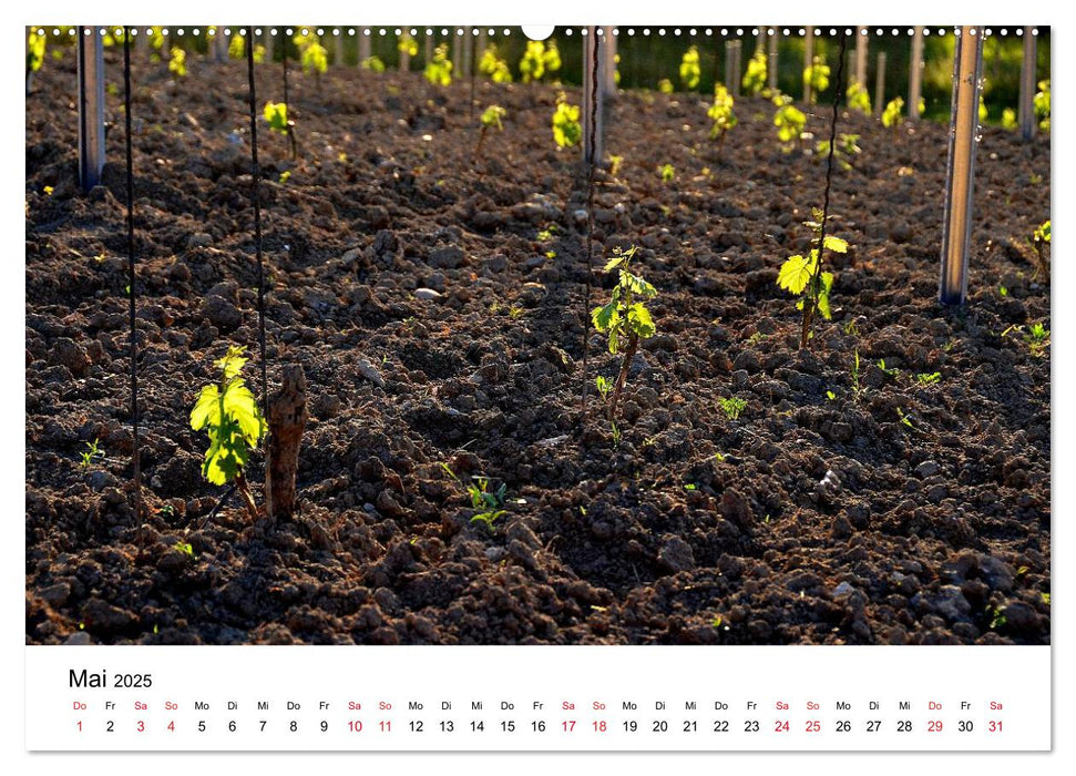 Impressionen vom Kaiserstuhl (CALVENDO Wandkalender 2025)