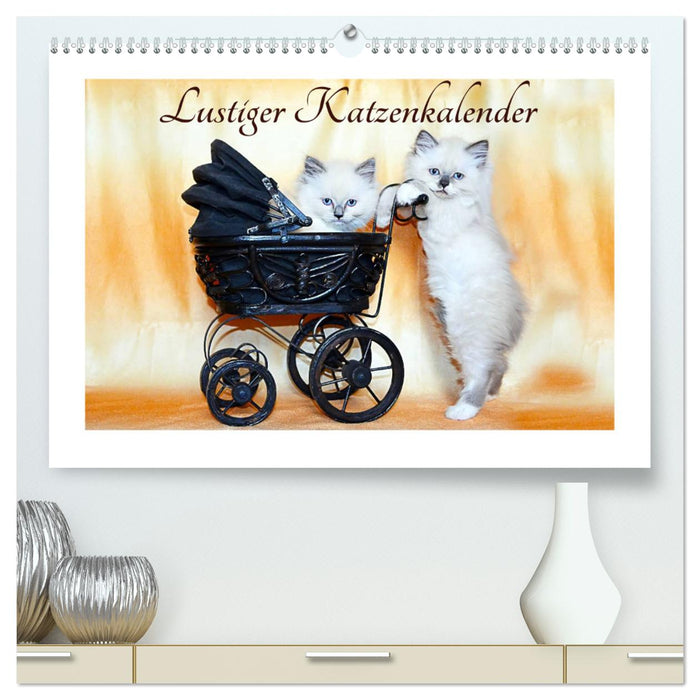 Lustiger Katzenkalender (CALVENDO Premium Wandkalender 2025)