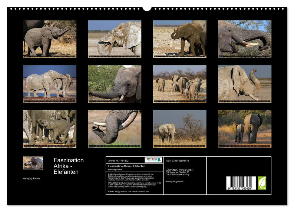 Faszination Afrika - Elefanten (CALVENDO Premium Wandkalender 2025)