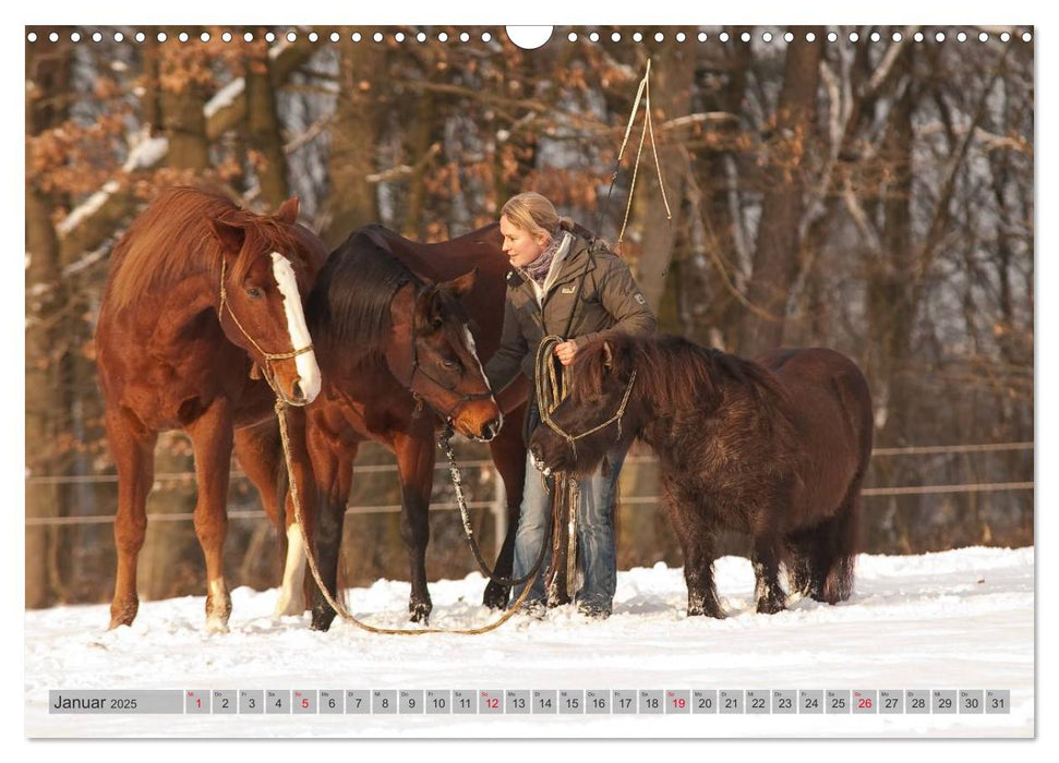 Natural Horsemanship - Partnerschaft mit Pferden (CALVENDO Wandkalender 2025)