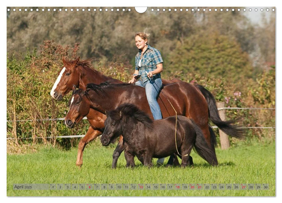 Natural Horsemanship - Partnerschaft mit Pferden (CALVENDO Wandkalender 2025)