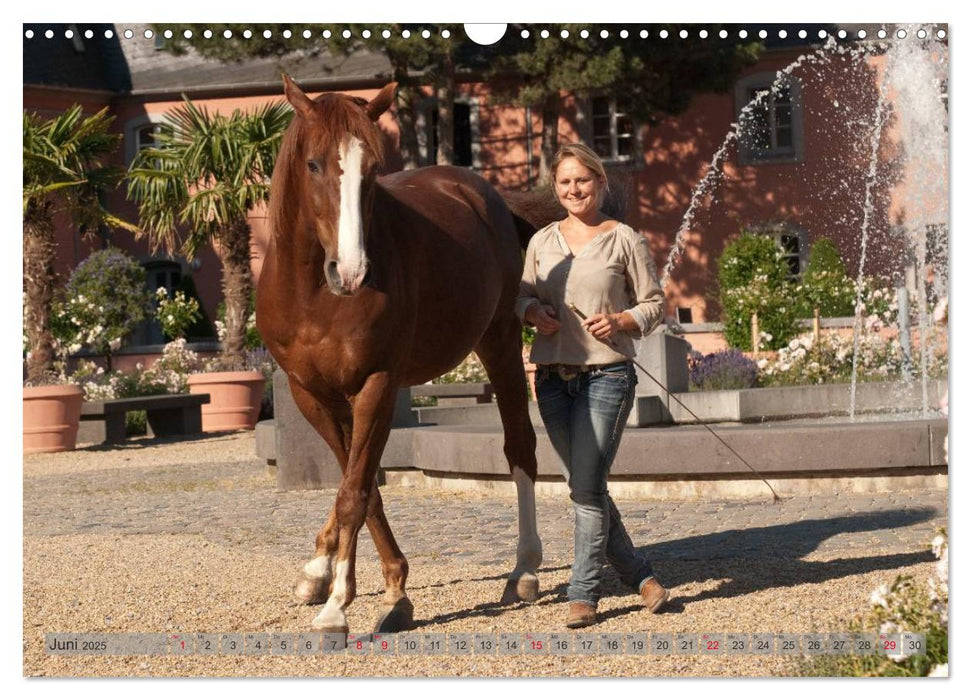 Natural Horsemanship - Partnerschaft mit Pferden (CALVENDO Wandkalender 2025)