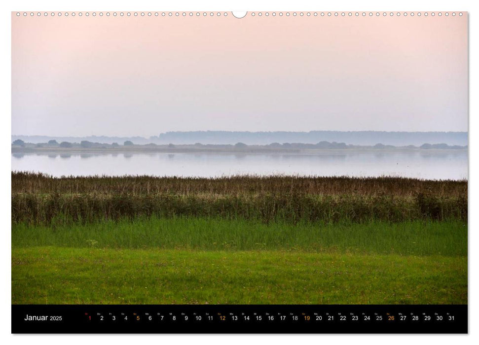 Sehnsucht Hiddensee 2025 (CALVENDO Premium Wandkalender 2025)