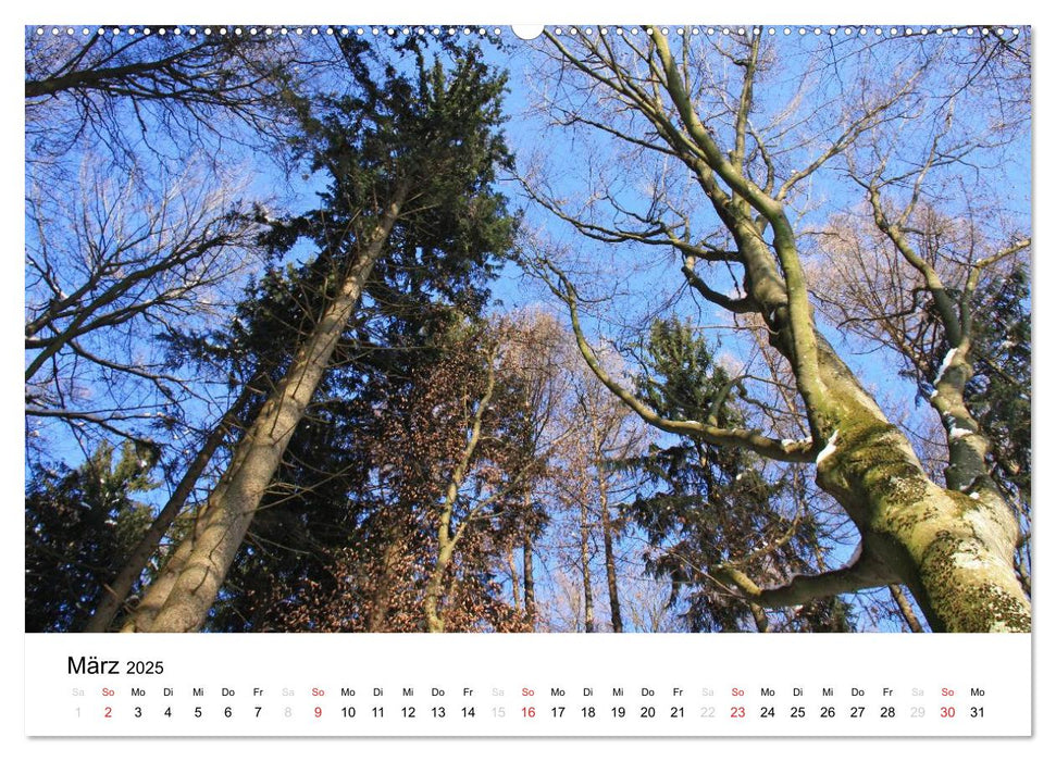 Der Ebersberger Forst und seine Umgebung (CALVENDO Premium Wandkalender 2025)