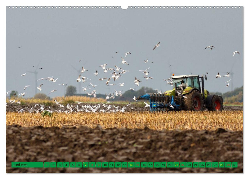 Landwirtschaft - Maschinen im Einsatz (CALVENDO Premium Wandkalender 2025)