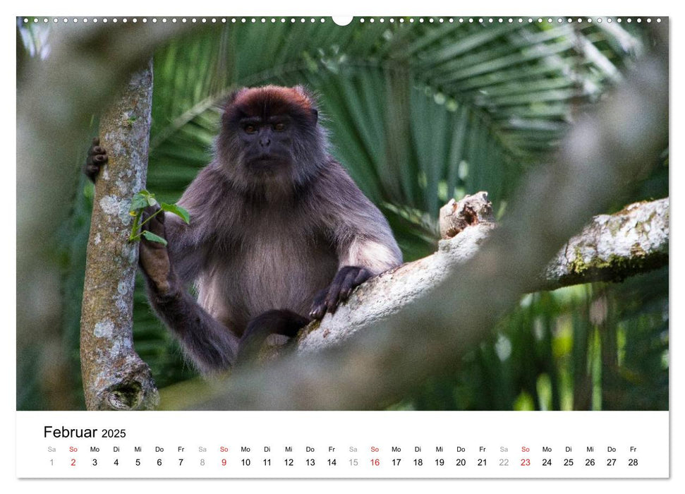 Uganda - die Perle Afrikas (CALVENDO Premium Wandkalender 2025)