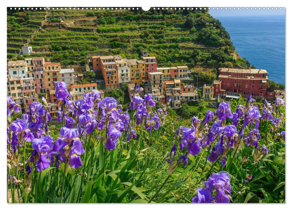 Cinque Terre Sentiero Azzurro (CALVENDO Premium Wandkalender 2025)