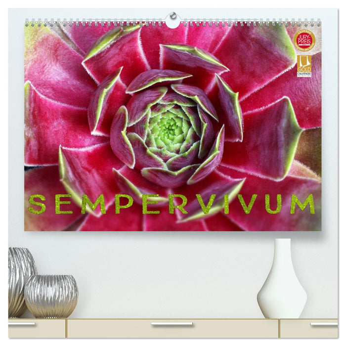 Sempervivum - Hauswurz (CALVENDO Premium Wandkalender 2025)