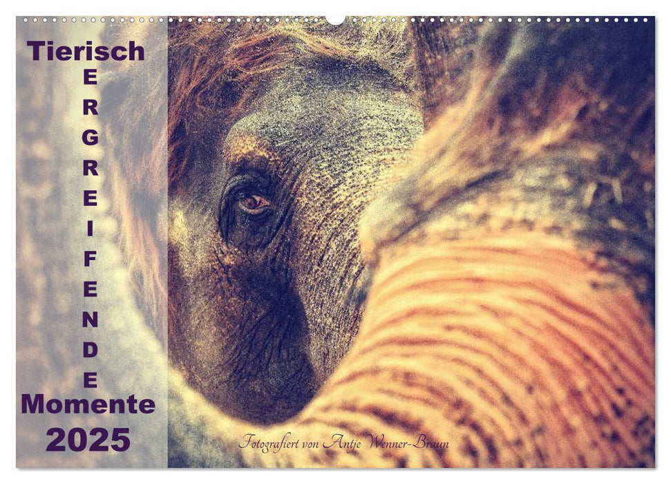 Tierisch ERGREIFENDE Momente 2025 (CALVENDO Wandkalender 2025)