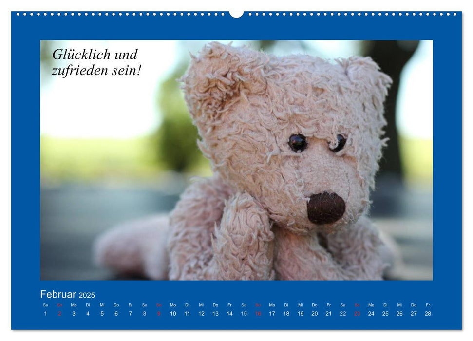 Sommer im Teddy-Land. Bär und Freunde (CALVENDO Wandkalender 2025)