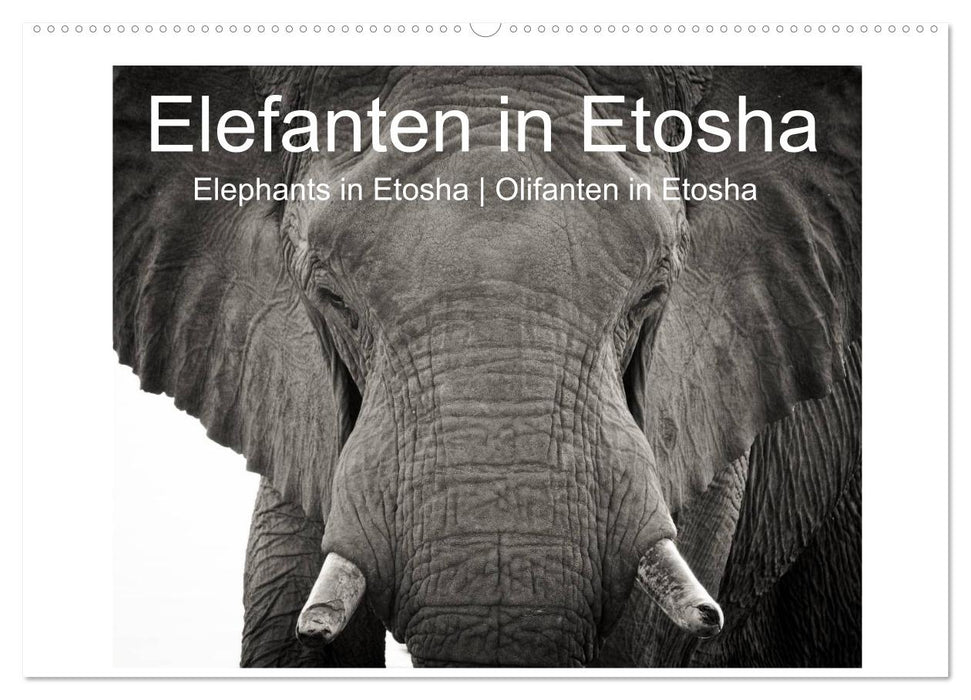 Elefanten in Etosha (CALVENDO Wandkalender 2025)