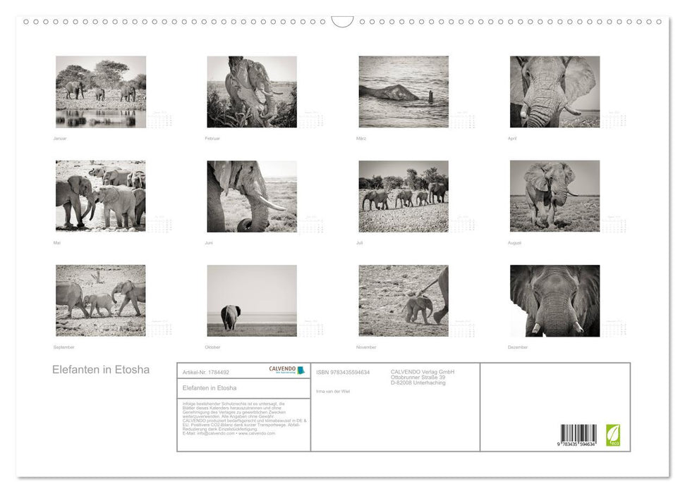 Elefanten in Etosha (CALVENDO Wandkalender 2025)