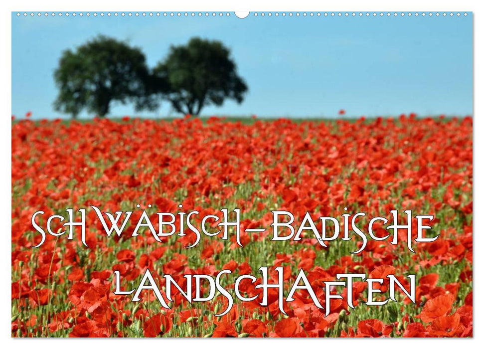 SCHWÄBISCH-BADISCHE LANDSCHAFTEN (CALVENDO Wandkalender 2025)