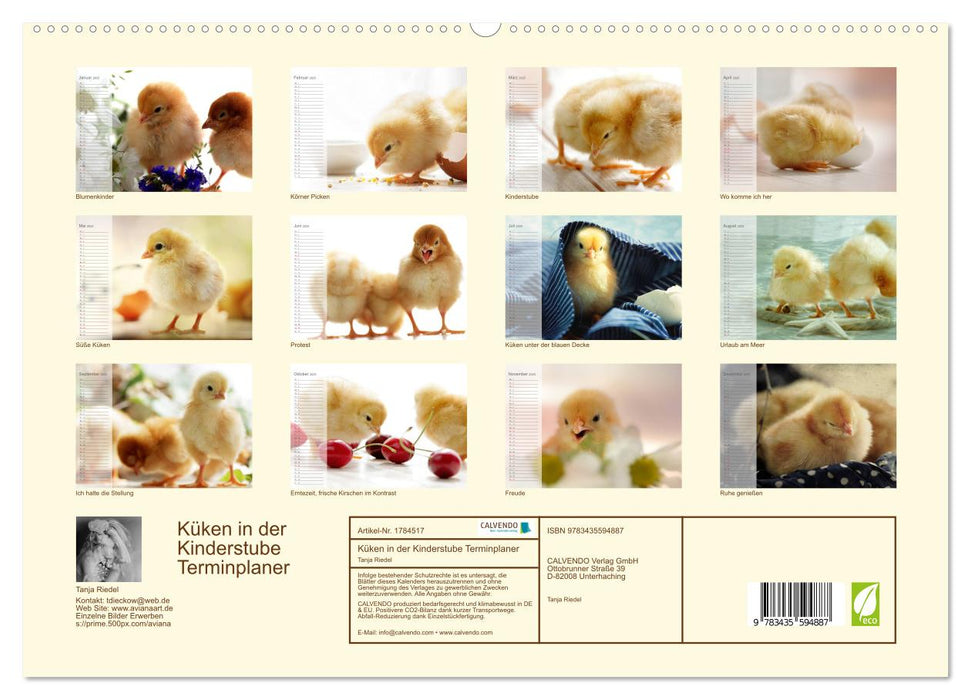 Küken in der Kinderstube Terminplaner (CALVENDO Premium Wandkalender 2025)