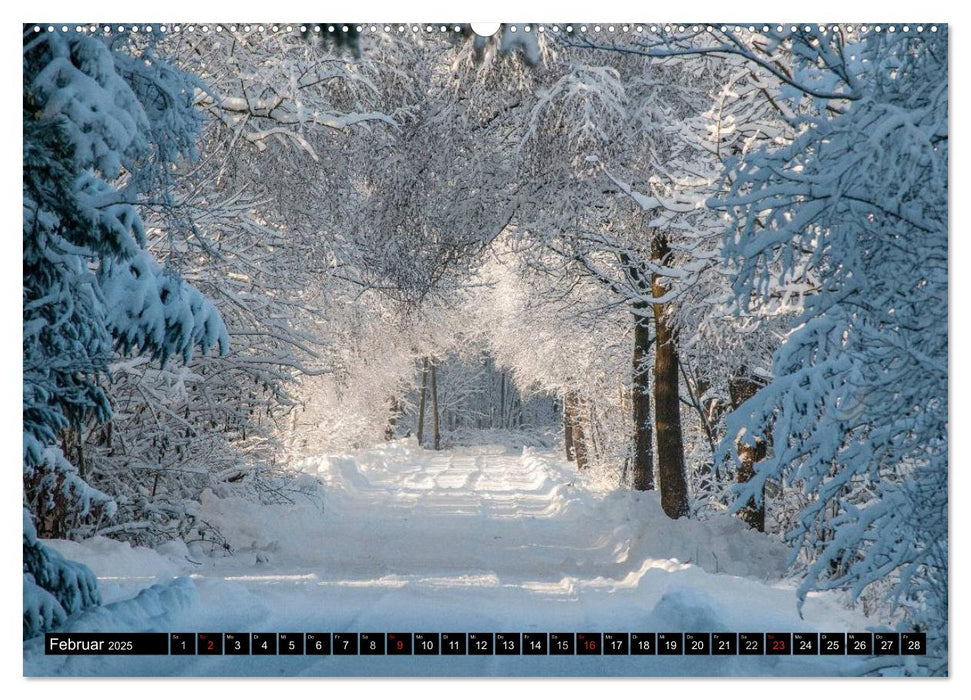 Worpswede - Künstlerdorf unter weitem Himmel (CALVENDO Premium Wandkalender 2025)