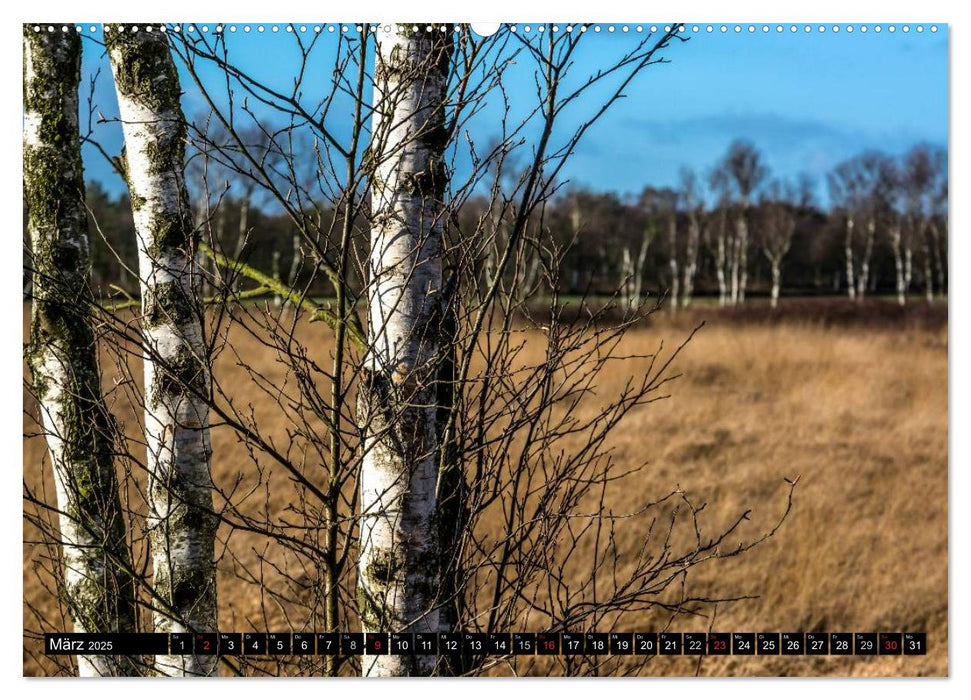 Worpswede - Künstlerdorf unter weitem Himmel (CALVENDO Premium Wandkalender 2025)