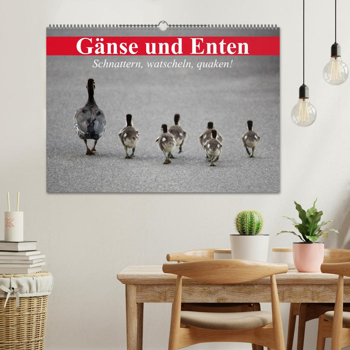 Gänse und Enten. Schnattern, watscheln, quaken! (CALVENDO Wandkalender 2025)