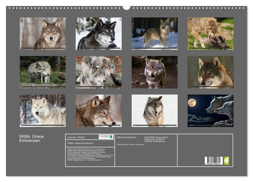 Wölfe. Graue Eminenzen (CALVENDO Wandkalender 2025)