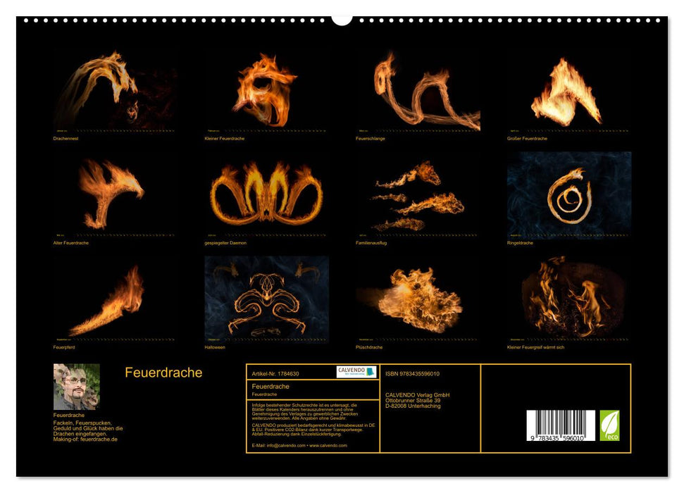 Feuerdrache (CALVENDO Premium Wandkalender 2025)