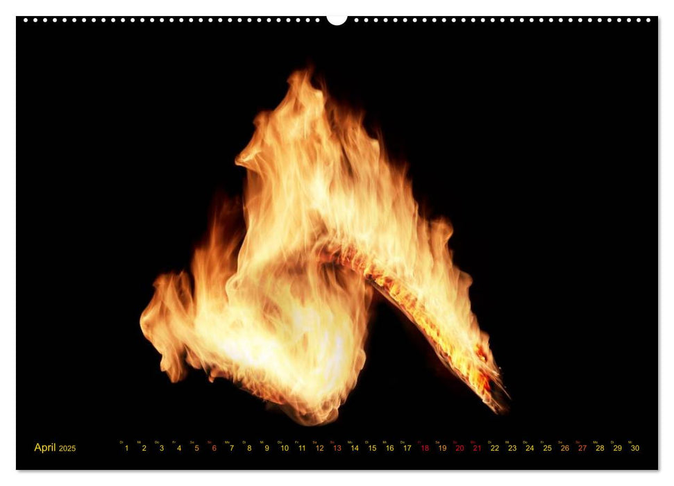 Feuerdrache (CALVENDO Premium Wandkalender 2025)