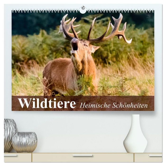 Wildtiere. Heimische Schönheiten (CALVENDO Premium Wandkalender 2025)