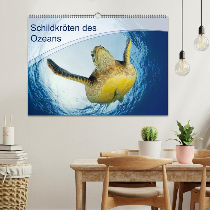 Schildkröten des Ozeans (CALVENDO Wandkalender 2025)