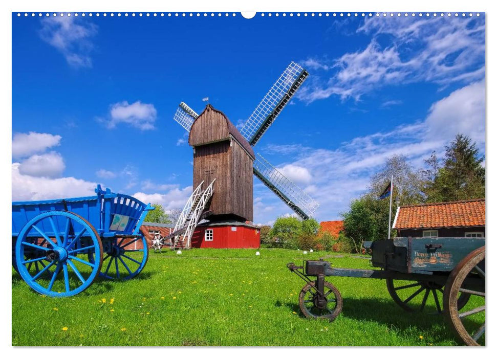 Windmühlen in Ostfriesland (CALVENDO Premium Wandkalender 2025)