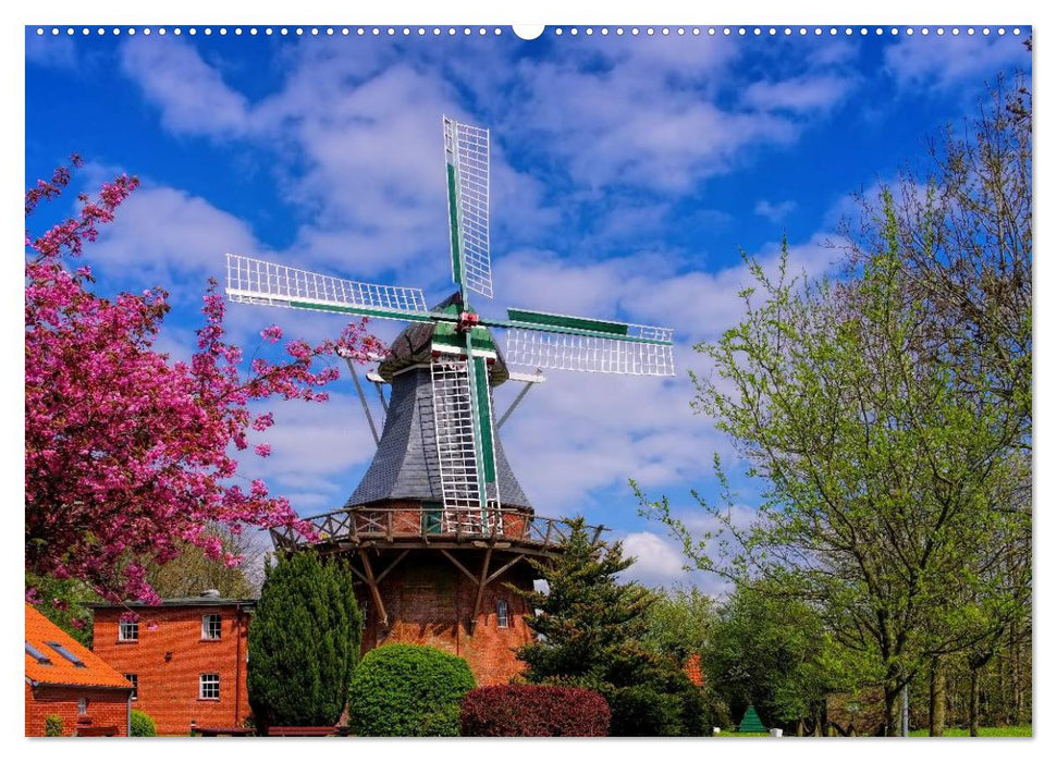 Windmühlen in Ostfriesland (CALVENDO Premium Wandkalender 2025)