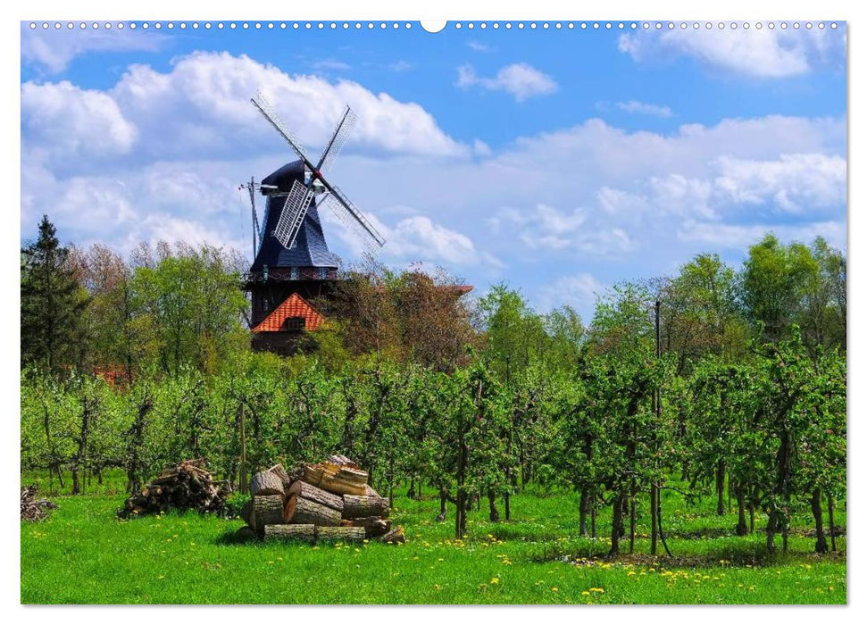 Windmühlen in Ostfriesland (CALVENDO Premium Wandkalender 2025)