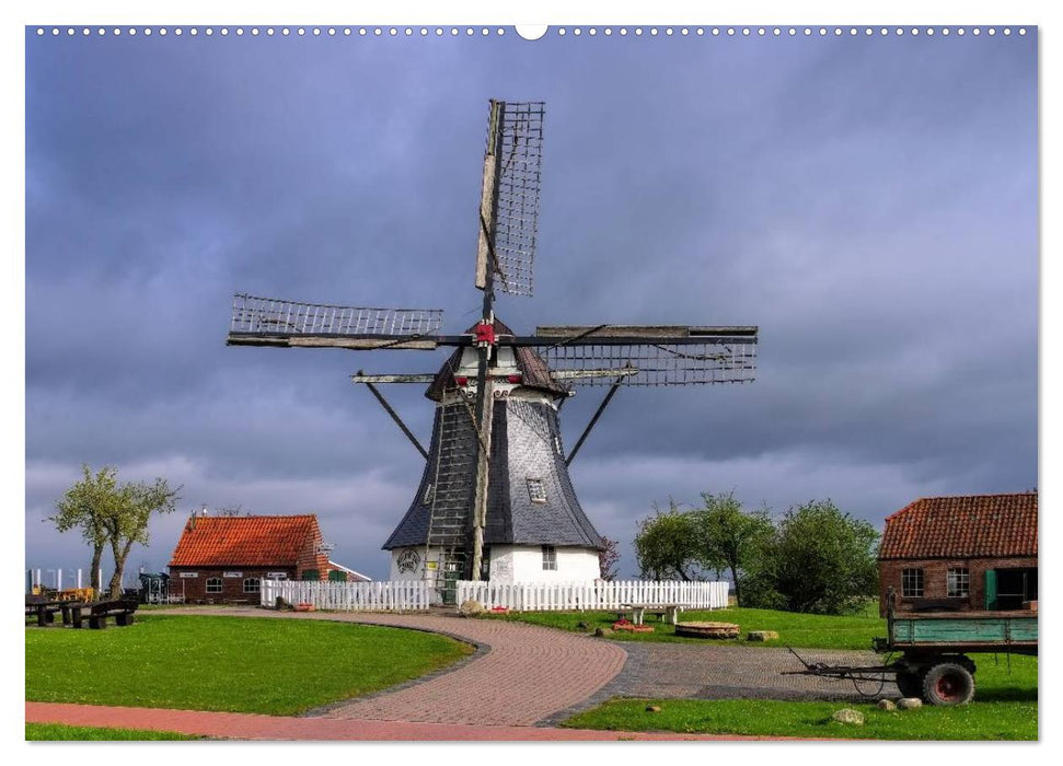 Windmühlen in Ostfriesland (CALVENDO Premium Wandkalender 2025)