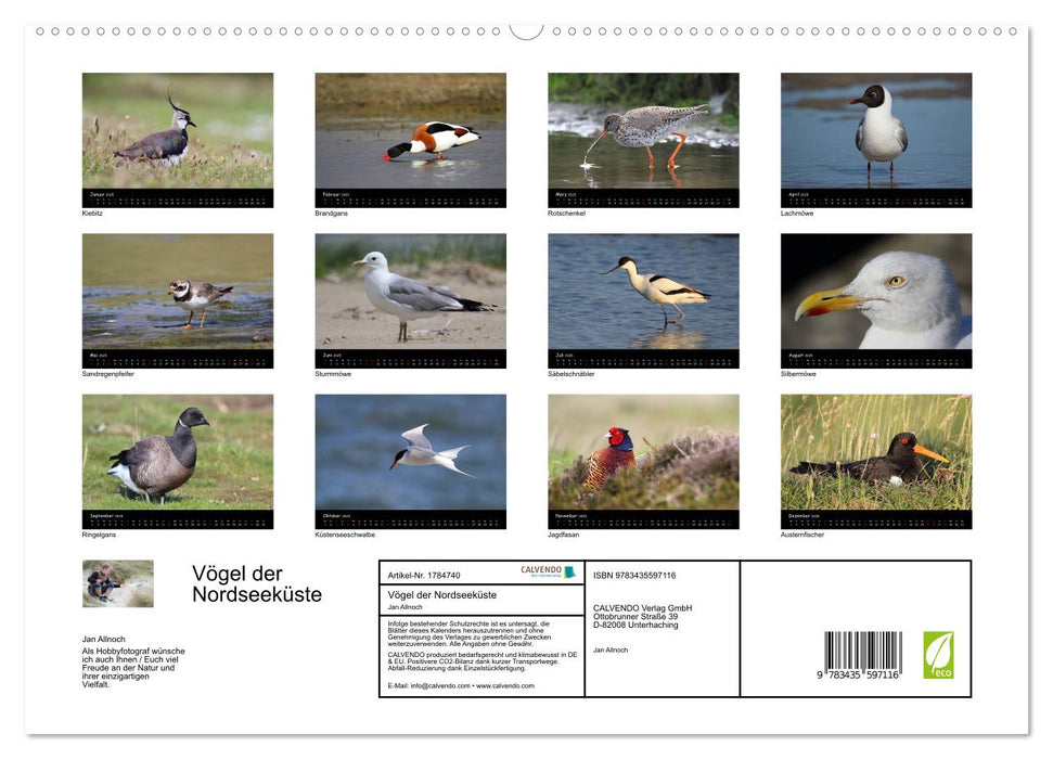 Vögel der Nordseeküste (CALVENDO Premium Wandkalender 2025)