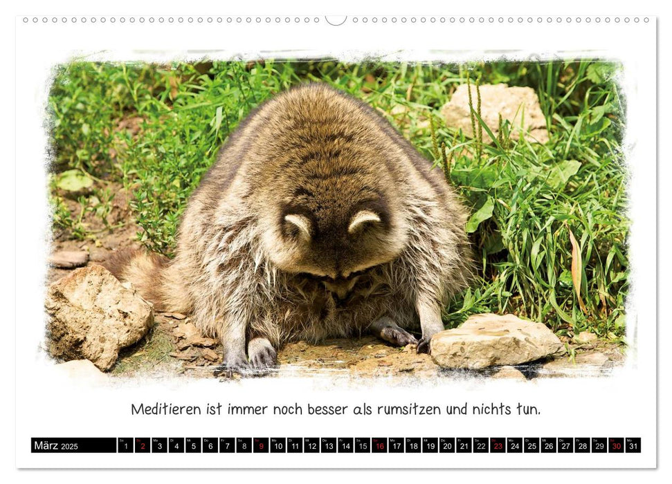 Tierisch witzig (CALVENDO Premium Wandkalender 2025)