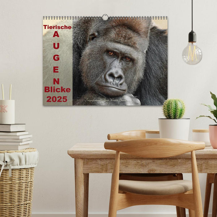 Tierische Augen-Blicke 2025 (CALVENDO Wandkalender 2025)