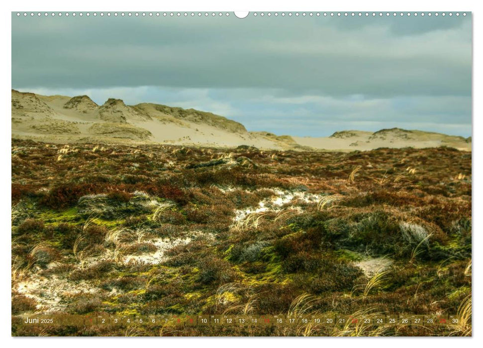 Sylt - Der Ellenbogen (CALVENDO Premium Wandkalender 2025)