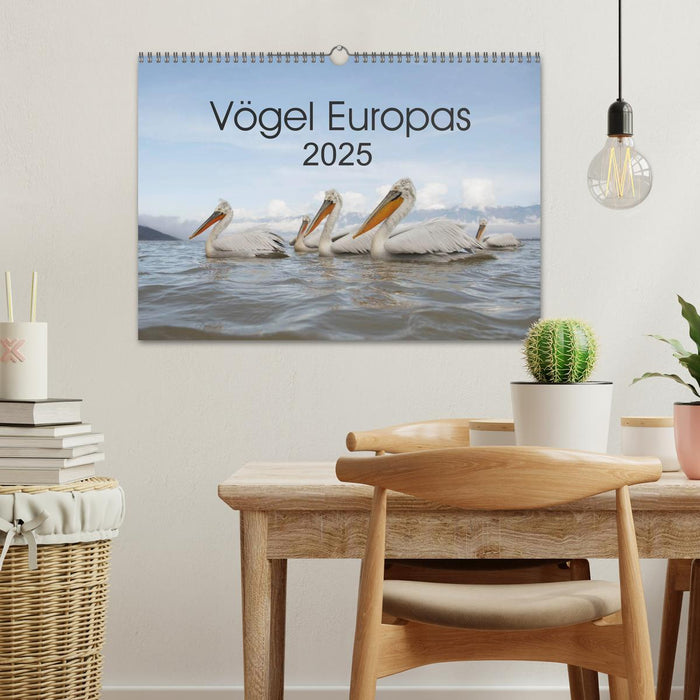 Vögel Europas 2025 (CALVENDO Wandkalender 2025)