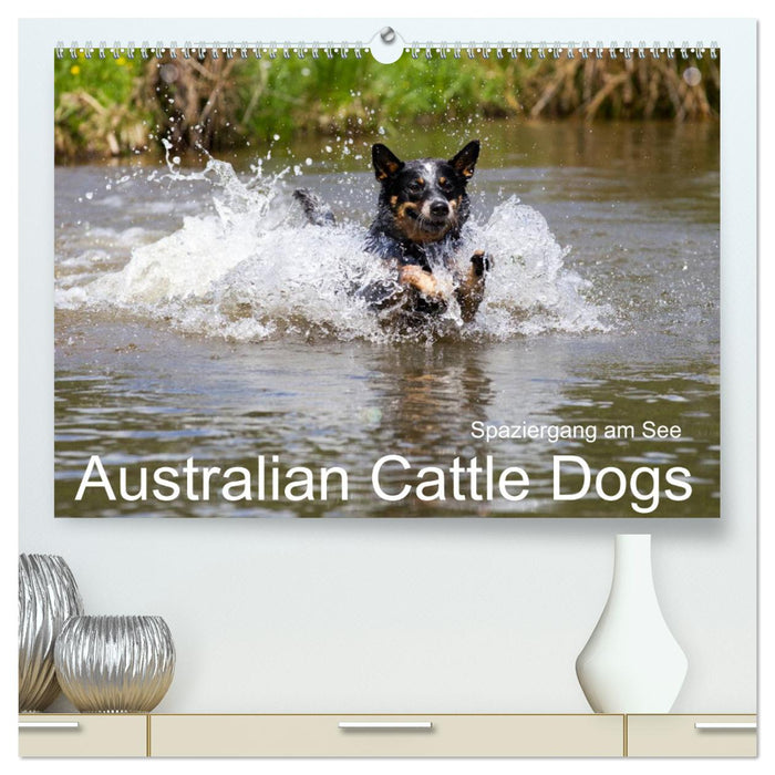 Spaziergang am See Australian Cattle Dogs (CALVENDO Premium Wandkalender 2025)