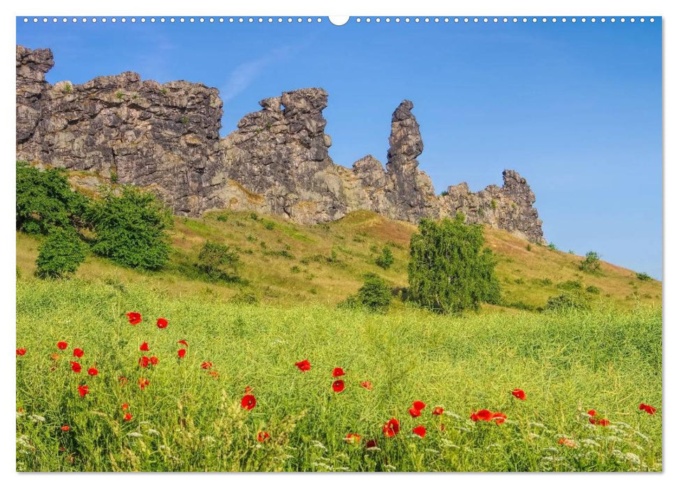 Die Teufelsmauer - Bizarre Felsformationen im Harz (CALVENDO Wandkalender 2025)