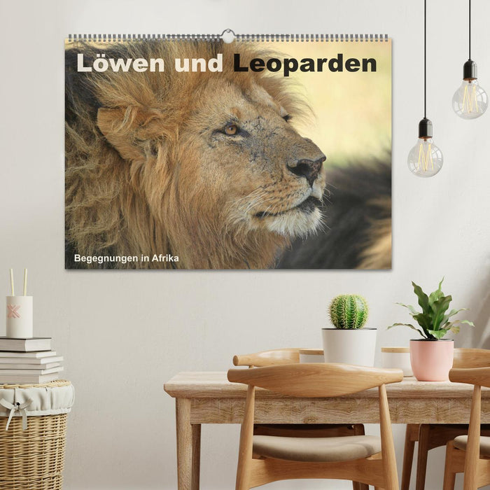 Löwen und Leoparden - Begegnungen in Afrika (CALVENDO Wandkalender 2025)