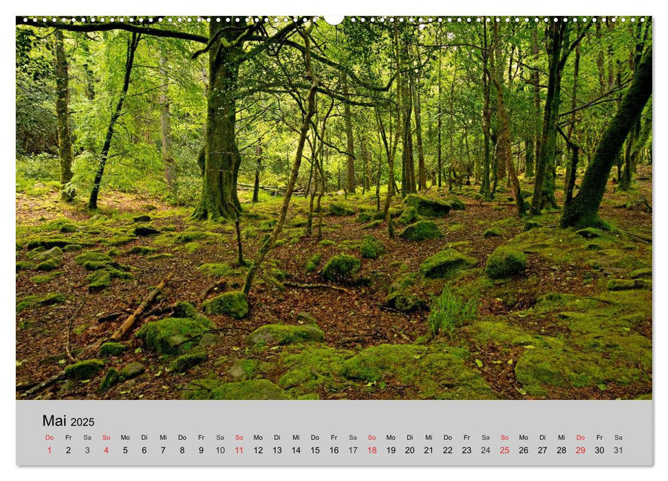 Faszination Irland - Natur pur (CALVENDO Premium Wandkalender 2025)