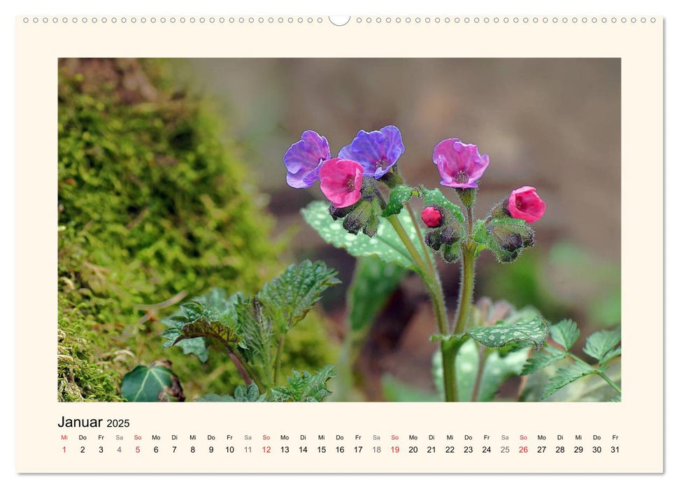 Blütenzauber in Tirol (CALVENDO Premium Wandkalender 2025)