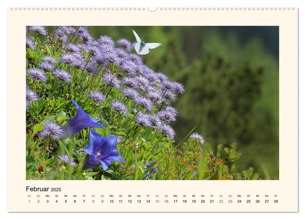 Blütenzauber in Tirol (CALVENDO Premium Wandkalender 2025)