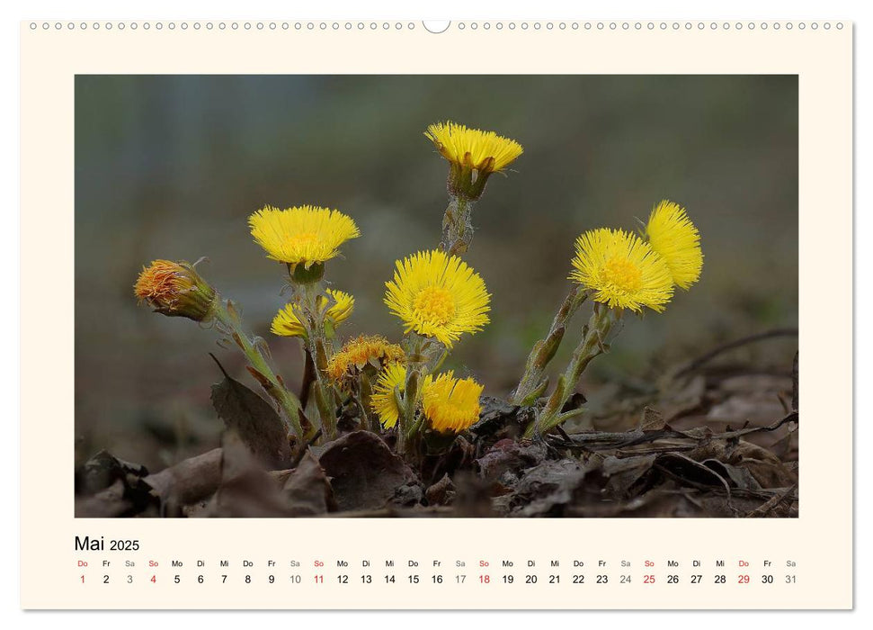 Blütenzauber in Tirol (CALVENDO Premium Wandkalender 2025)