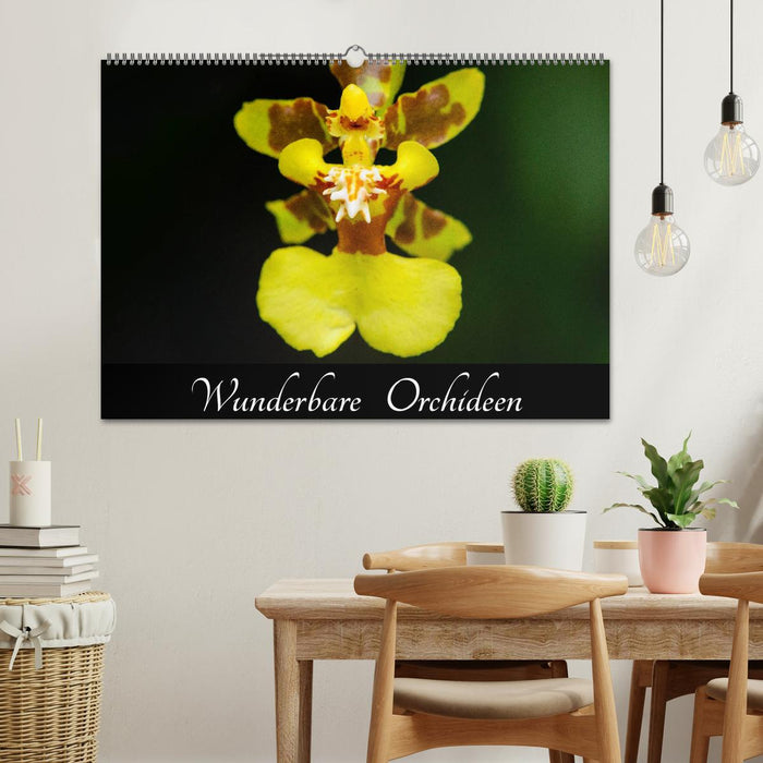 Wunderbare Orchideen (CALVENDO Wandkalender 2025)