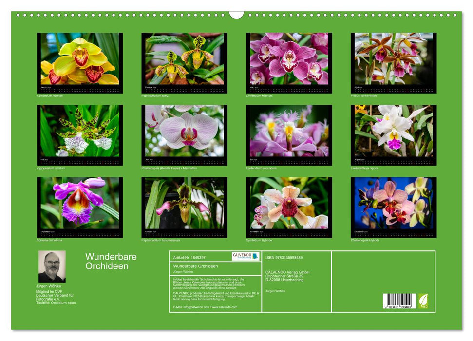 Wunderbare Orchideen (CALVENDO Wandkalender 2025)