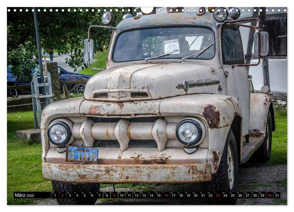 FORD PICK-UPS F 1 - F 100 (CALVENDO Wandkalender 2025)