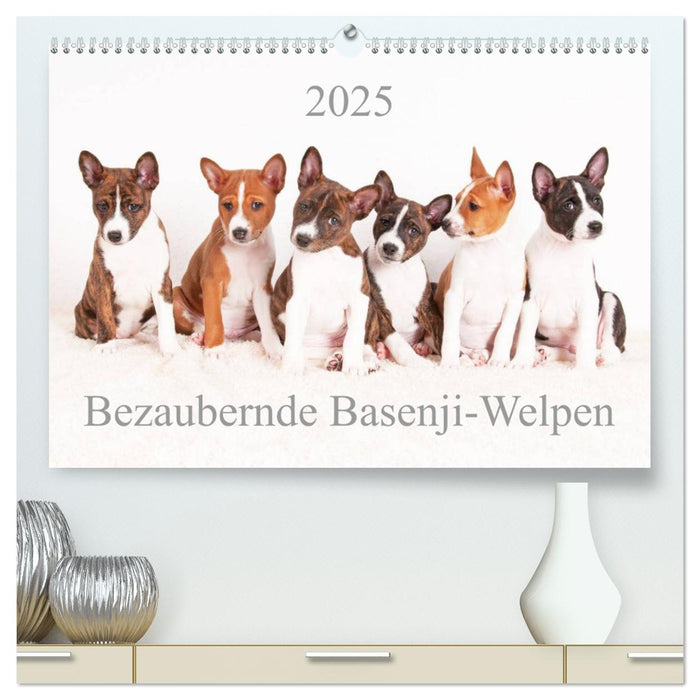 Bezaubernde Basenji-Welpen (CALVENDO Premium Wandkalender 2025)