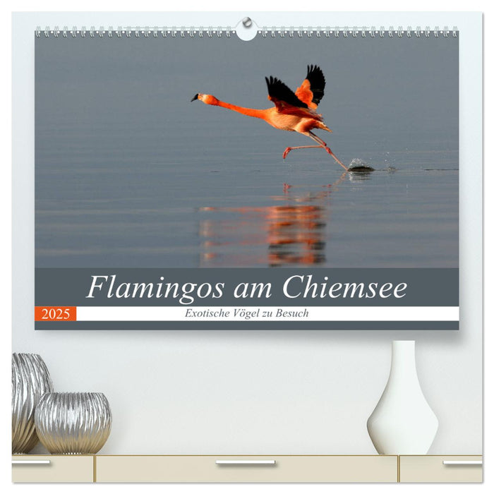 Flamingos am Chiemsee (CALVENDO Premium Wandkalender 2025)